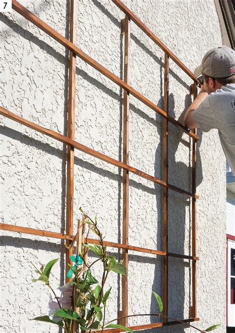 Garden Stakes & Trellis .